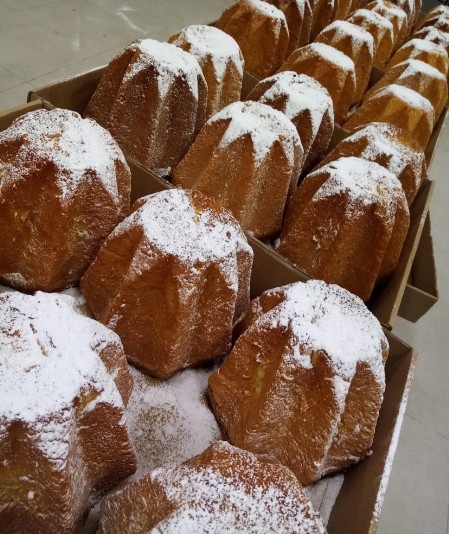 Pandoro