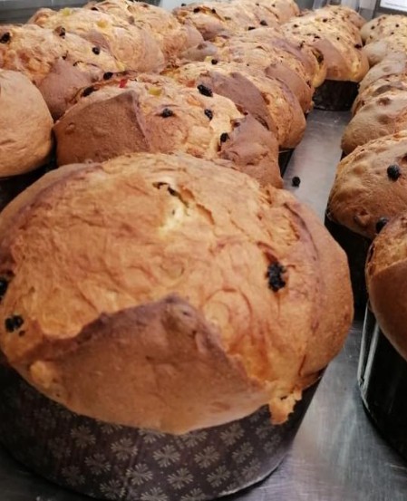 Panettone artigianale